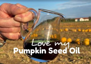 New Pumpkin Seed Oil Hit: Love my Pumpkin Seed Oil